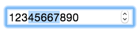 input type=number with selected text