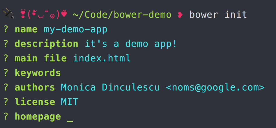 screenshot of the bower init wizard