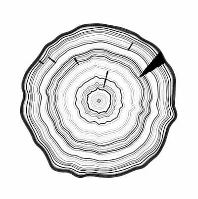 smoother concentric circles, of different thicknesses and greyscale colours, with some black lines overlapping